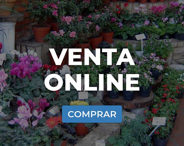 venta online